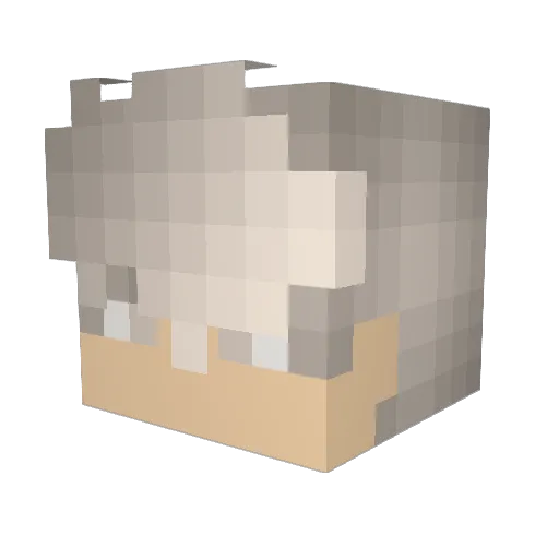 Jack_Greywind Minecraft avatar head, 3D render