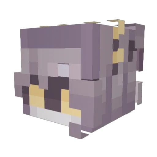 Jackaboy_01 Minecraft avatar head, 3D render