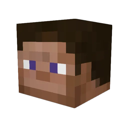 Jackal904 Minecraft avatar head, 3D render