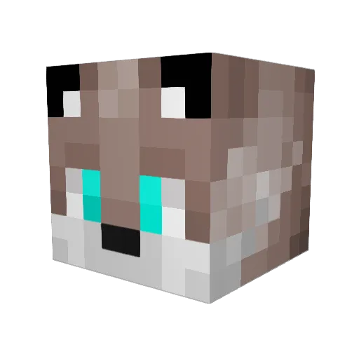 JackalJustice Minecraft avatar head, 3D render