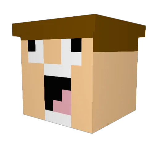 Jackalnchuck Minecraft avatar head, 3D render