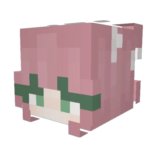 JackerAcid Minecraft avatar head, 3D render