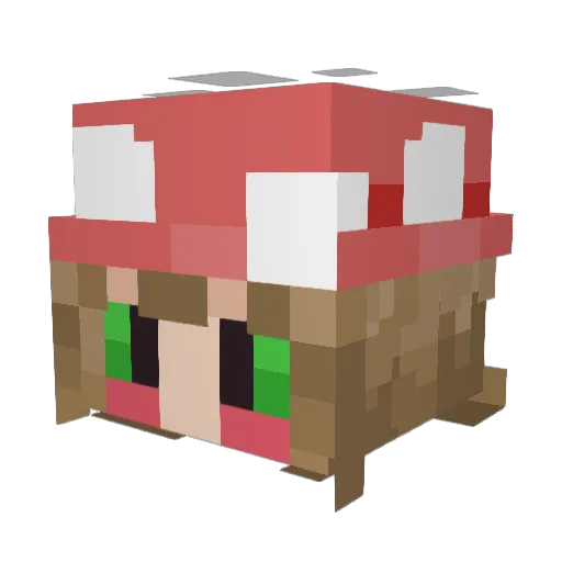 Jacket444 Minecraft avatar head, 3D render
