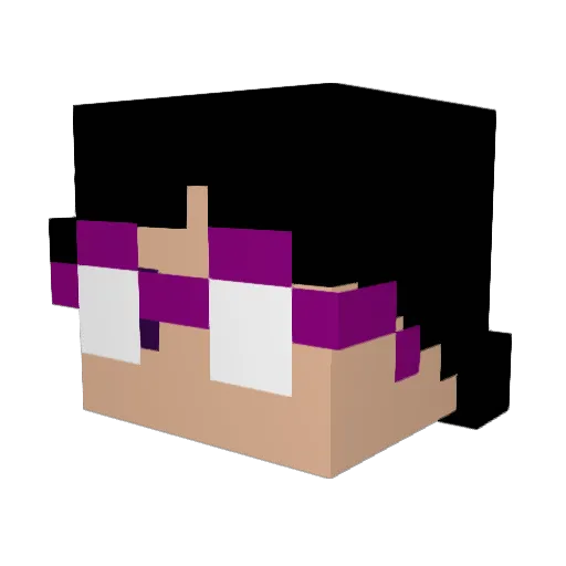 Jackflower64 Minecraft avatar head, 3D render