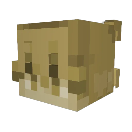 Jackle42 Minecraft avatar head, 3D render
