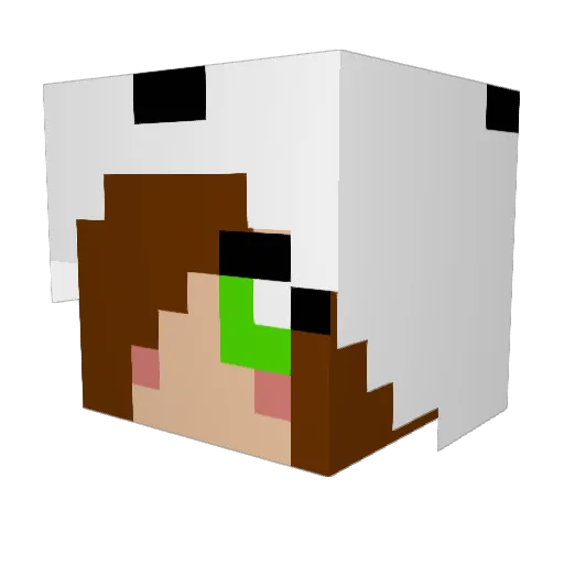Jackman1000 Minecraft avatar head, 3D render