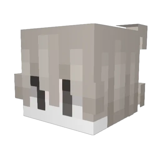 Jackobiiino Minecraft avatar head, 3D render
