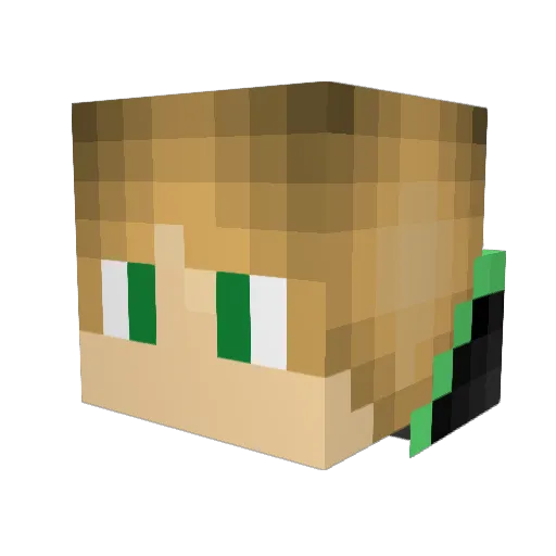 JackofAllTrad5 Minecraft avatar head, 3D render