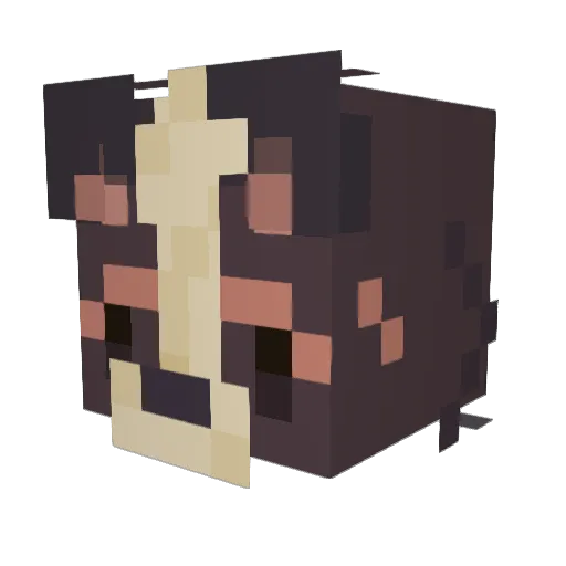 Jackofallcorgs Minecraft avatar head, 3D render