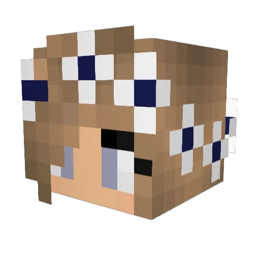 JackpotSally Minecraft avatar head, 3D render