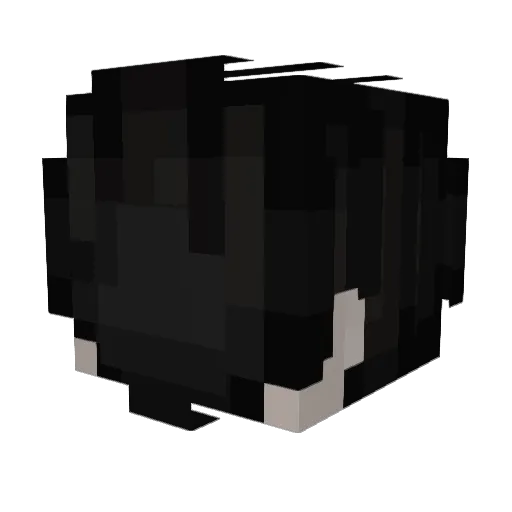 Jacksfregio Minecraft avatar head, 3D render