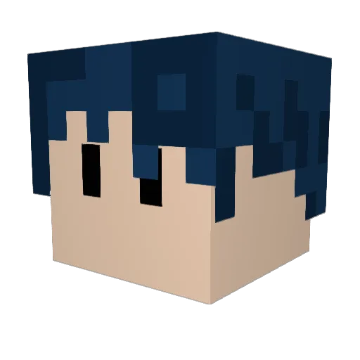 Jackson0117 Minecraft avatar head, 3D render