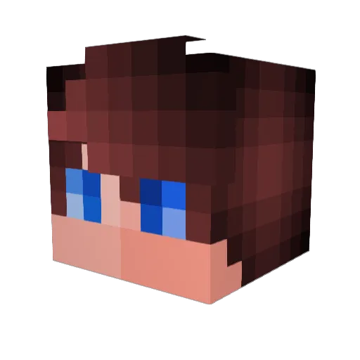 Jackson11Willis Minecraft avatar head, 3D render