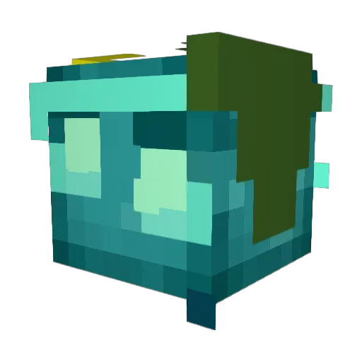 JacksonTurtle Minecraft avatar head, 3D render