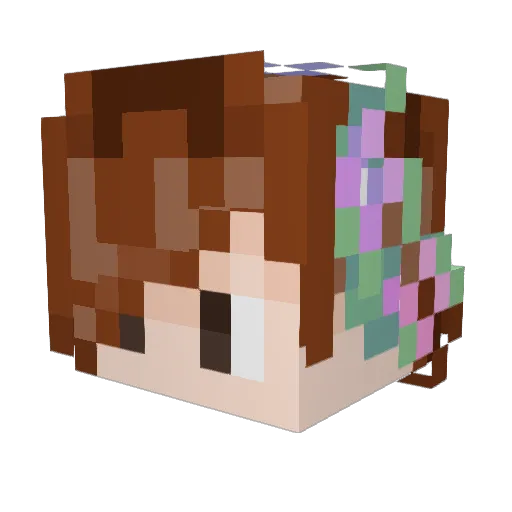 Jackson_SCT Minecraft avatar head, 3D render