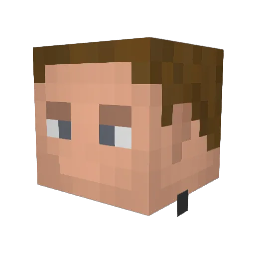 Jackson_lolreal Minecraft avatar head, 3D render