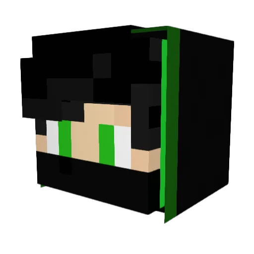 Jacksonian6 Minecraft avatar head, 3D render