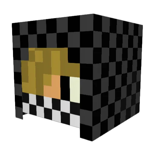 Jacksonsk8s Minecraft avatar head, 3D render