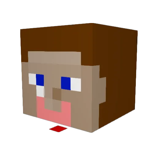Jacksta_Bee Minecraft avatar head, 3D render