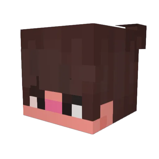 Jackstauber455 Minecraft avatar head, 3D render