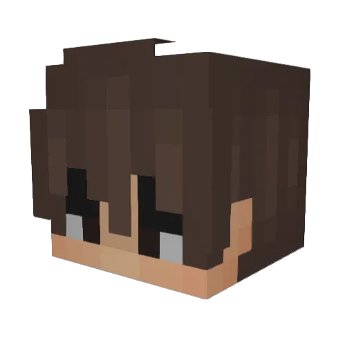 Jackswan0 Minecraft avatar head, 3D render