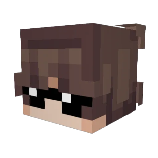 Jacktell Minecraft avatar head, 3D render