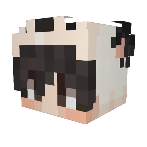 Jackvla Minecraft avatar head, 3D render