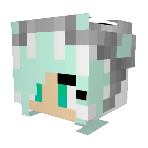Jacky75 Minecraft avatar head, 3D render