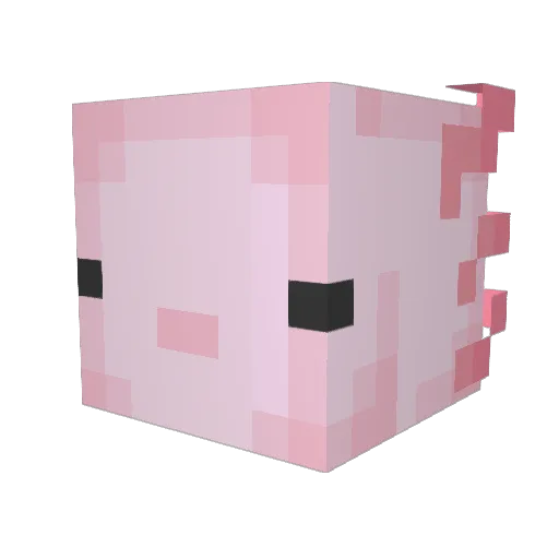 Jacky_0023 Minecraft avatar head, 3D render