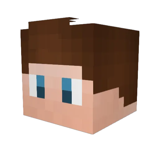Jaco2012 Minecraft avatar head, 3D render