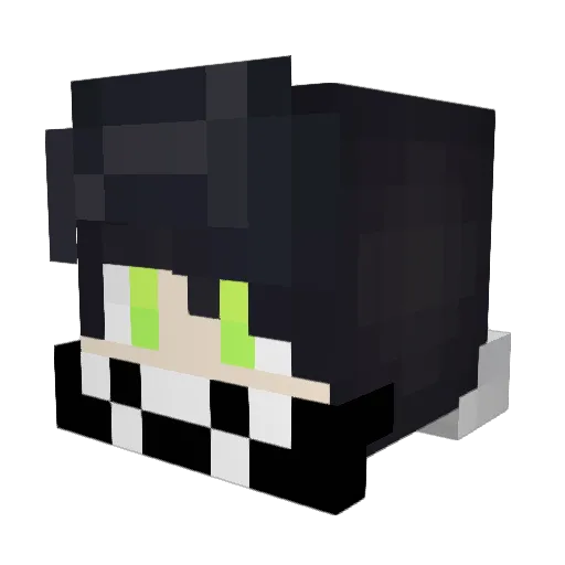 Jaco754 Minecraft avatar head, 3D render