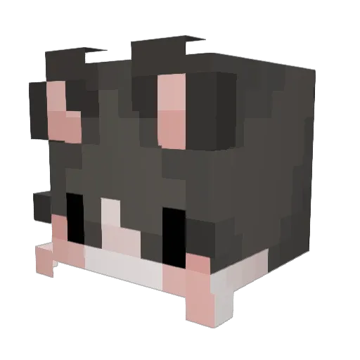 Jaco__vx Minecraft avatar head, 3D render