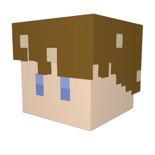 Jacob0lson Minecraft avatar head, 3D render
