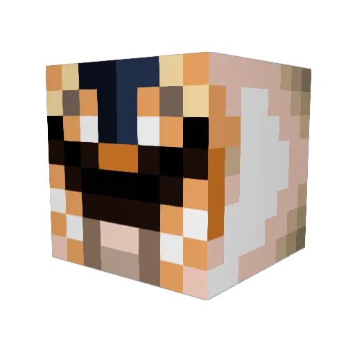 Jacob1049 Minecraft avatar head, 3D render