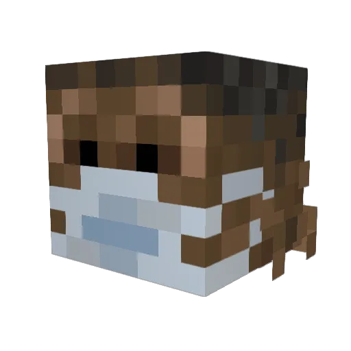 Jacob1999 Minecraft avatar head, 3D render