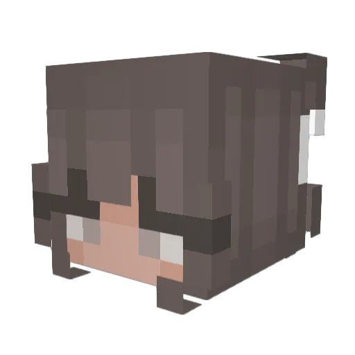 Jacob30106 Minecraft avatar head, 3D render