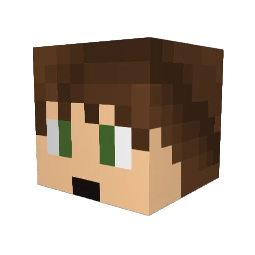 Jacob654 Minecraft avatar head, 3D render