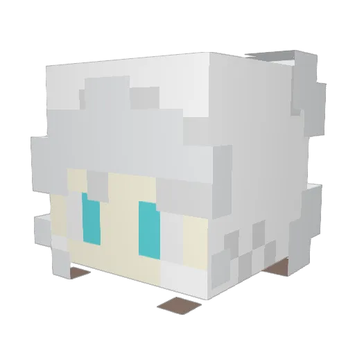 JacobNZach Minecraft avatar head, 3D render