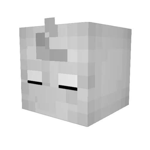 JacobT1137 Minecraft avatar head, 3D render