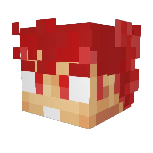JacobTheJedi Minecraft avatar head, 3D render