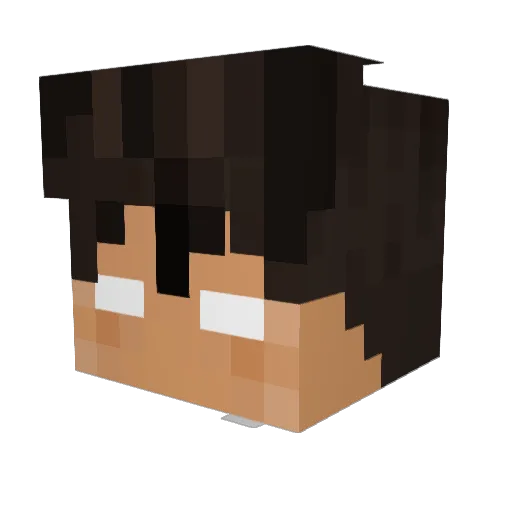 JacobTwentyOne Minecraft avatar head, 3D render