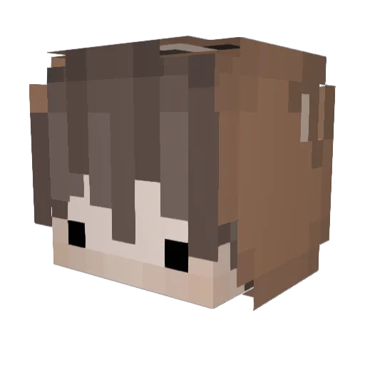 JacobYim Minecraft avatar head, 3D render