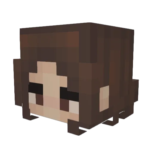 Jacobfelix Minecraft avatar head, 3D render