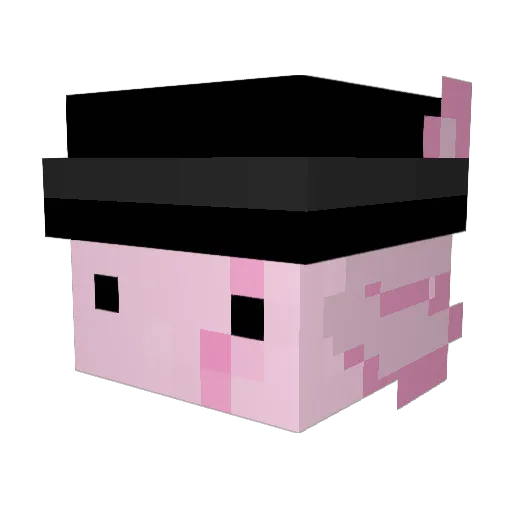 Jacobinho_ Minecraft avatar head, 3D render