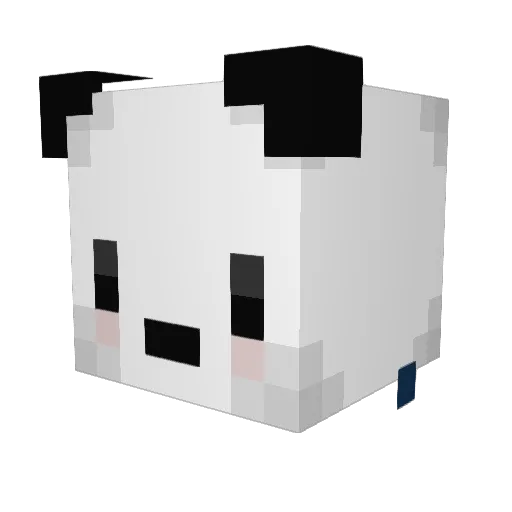 Jacobo11 Minecraft avatar head, 3D render