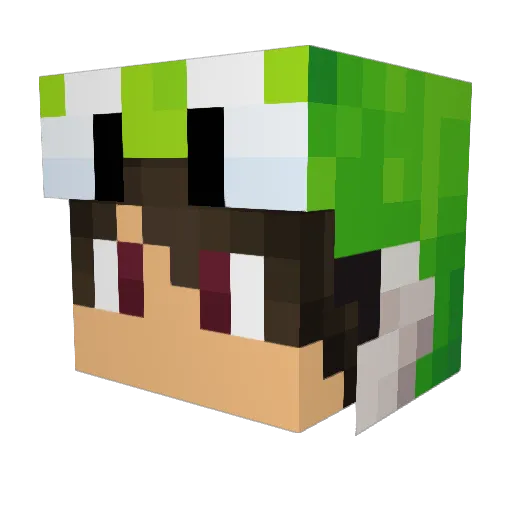 Jacombre Minecraft avatar head, 3D render