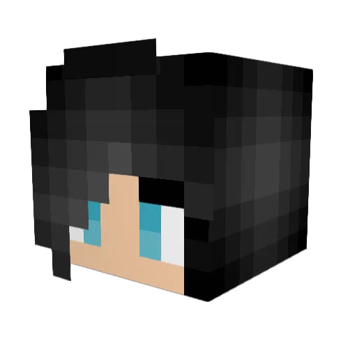 Jacquizor Minecraft avatar head, 3D render