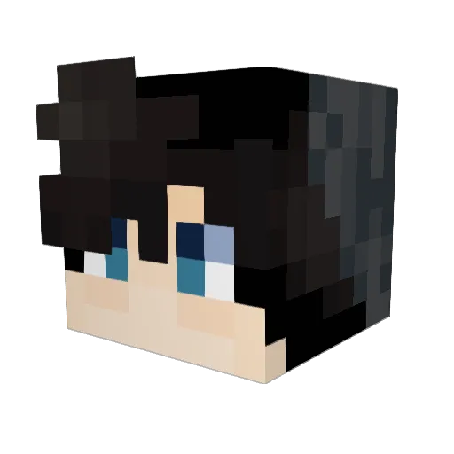 Jacsen1 Minecraft avatar head, 3D render