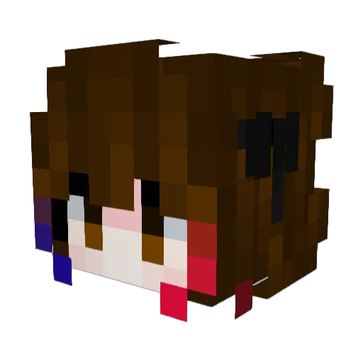 JacuDaArvore Minecraft avatar head, 3D render
