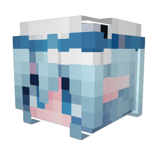 Jacup101 Minecraft avatar head, 3D render